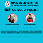 Tübitak 2209-a projesi
